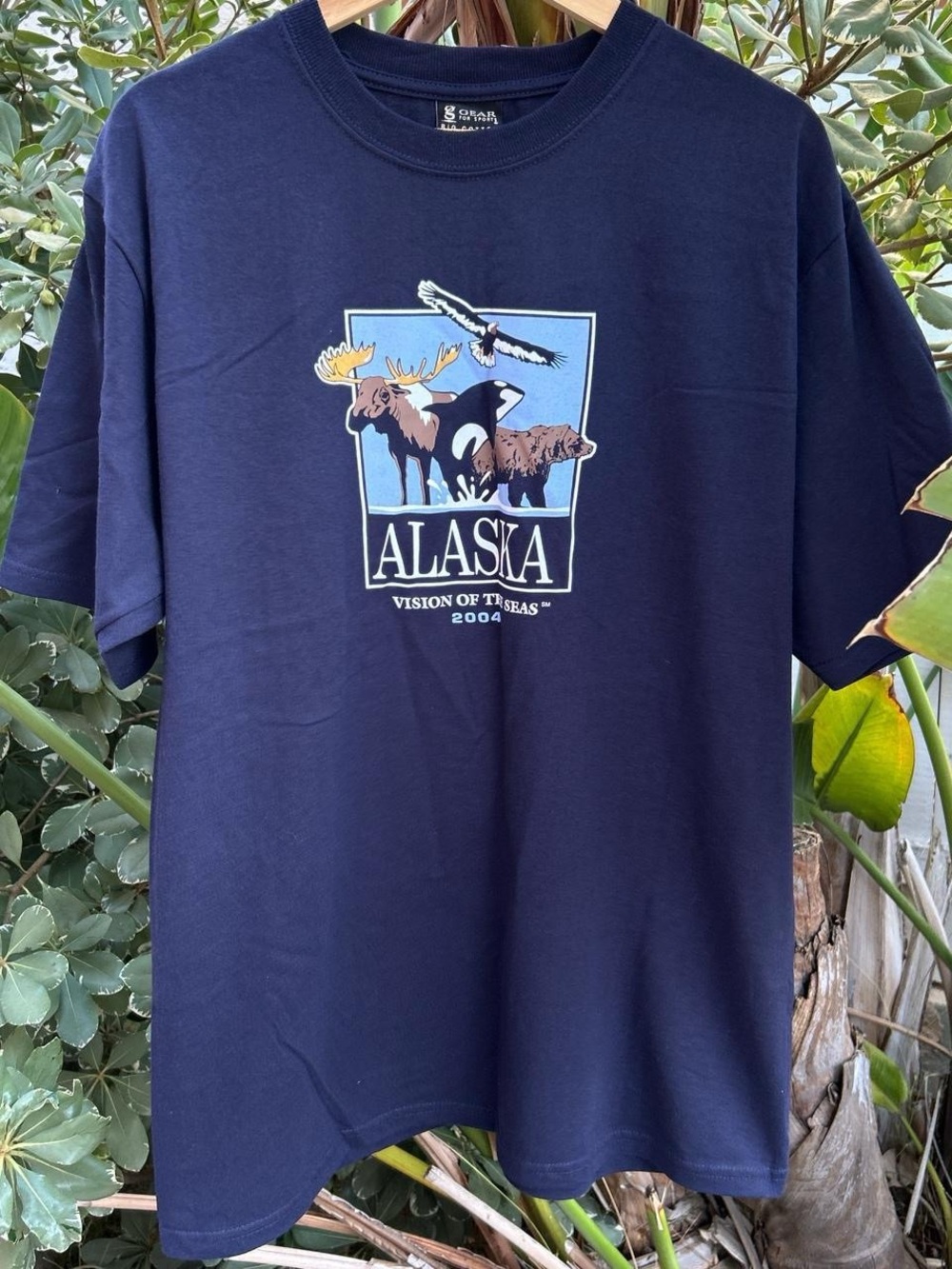 Vintage 2004 Alaska Vision Of The Seas Cruise T Shirt L Navy USA Graphic